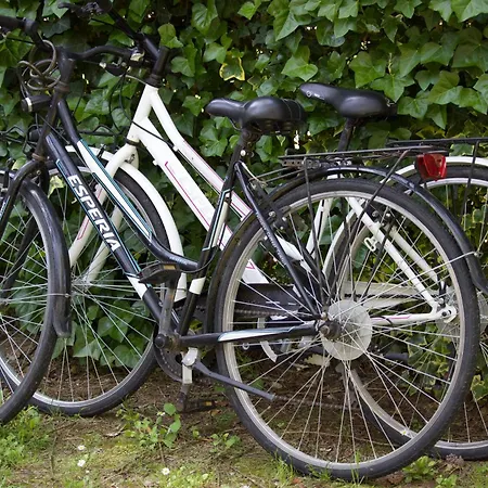 Antonietta 4, Relax Nella Pineta