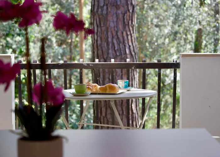 Antonietta 4, Relax Nella Pineta *