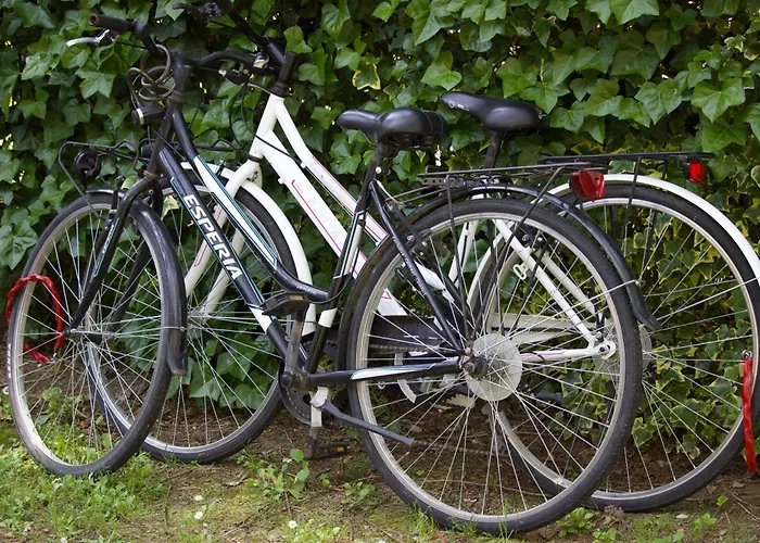 Antonietta 4, Relax Nella Pineta