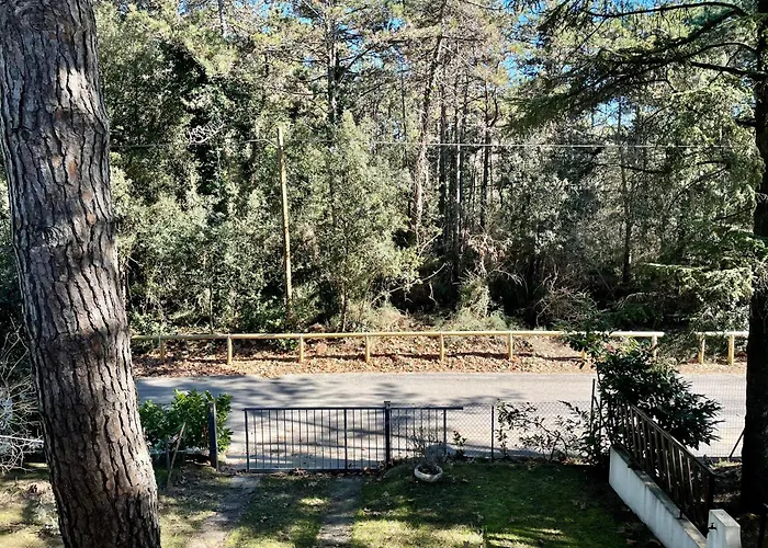 Appartamento Antonietta 4, Relax Nella Pineta